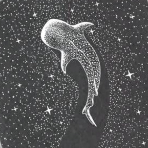 Meet your Posher, Lucy - Picture 1 of 1